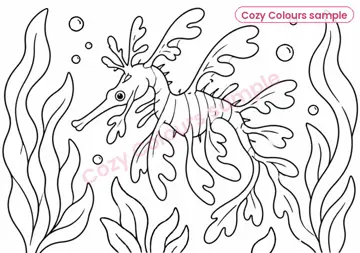 Sample page 5 from Underwater Animals Colouring Book